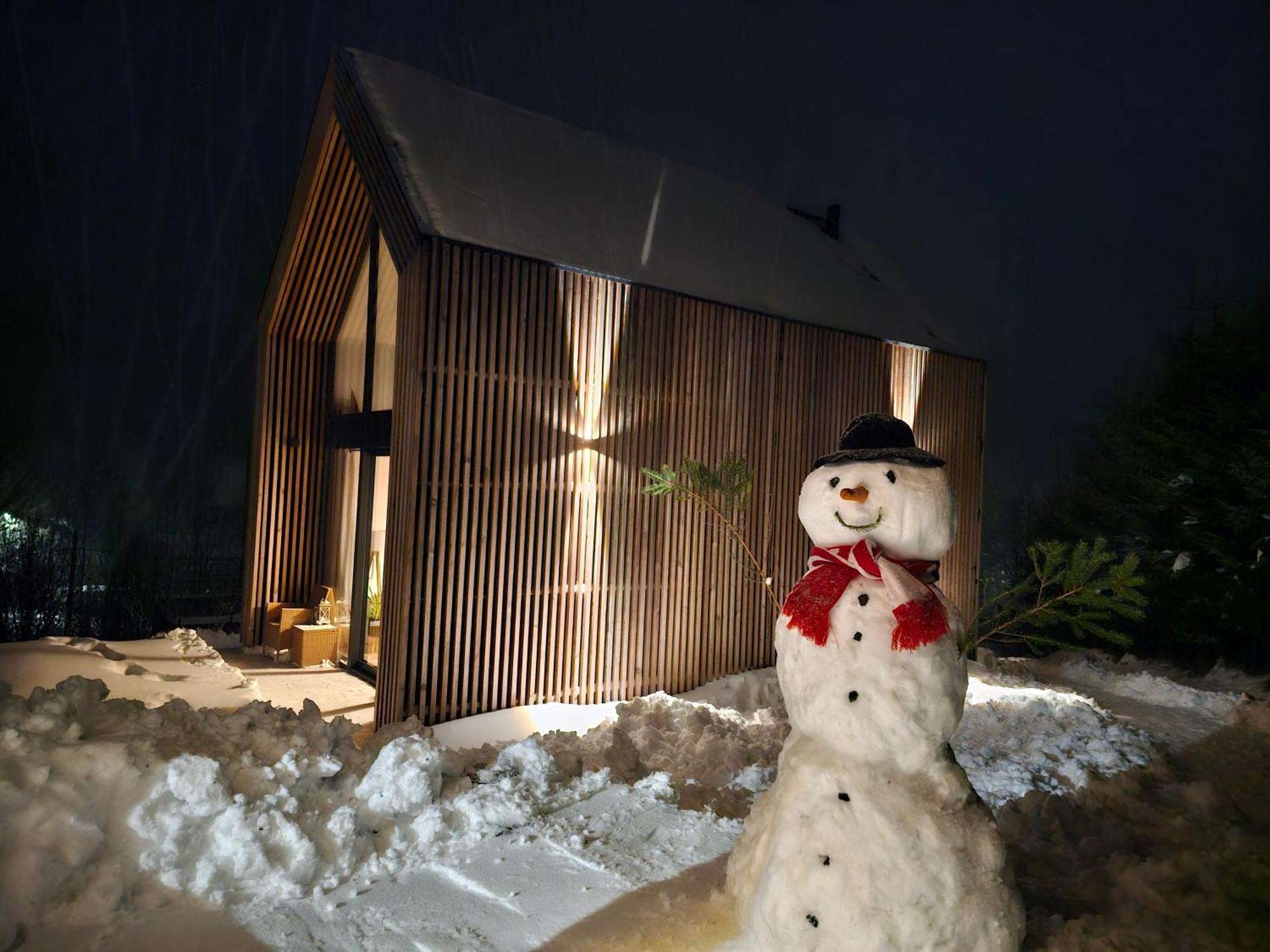 Domki Pod Lasem - Domek Sosnowy Строне-Шльонське Екстер'єр фото